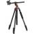 K&F Concept KF4248 - statyw fotograficzny T254A7 + głowica kulowa BH-28L